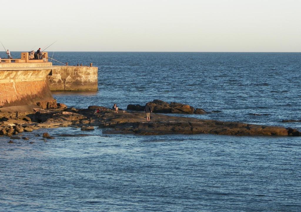 Splendido Hotel Montevideo Dış mekan fotoğraf